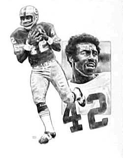Charley Taylor Washington Redskins Lithograph By Michael Mellett